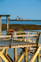 Flowers on Deck with Cuckolds Lighthouse Offshore